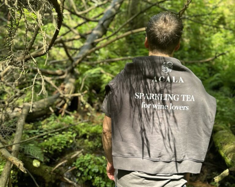 ACALA Sparkling Tea Mimosa