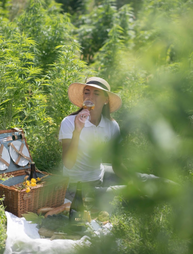 ACALA Sparkling Tea White