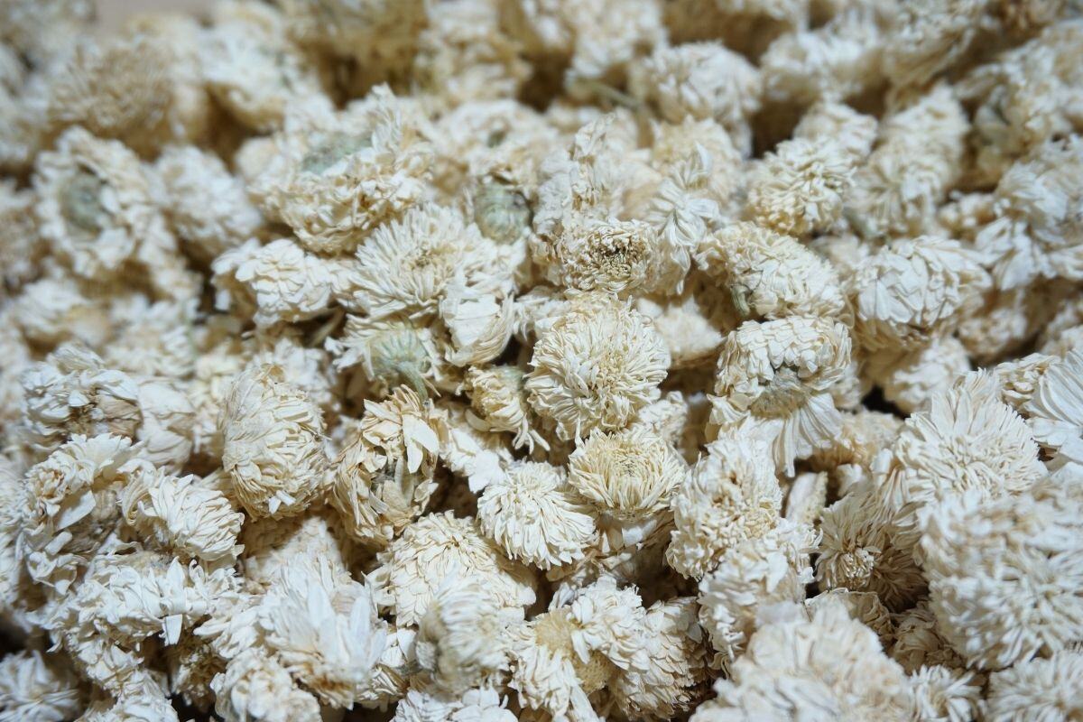 Baladin Botanic Blanche
